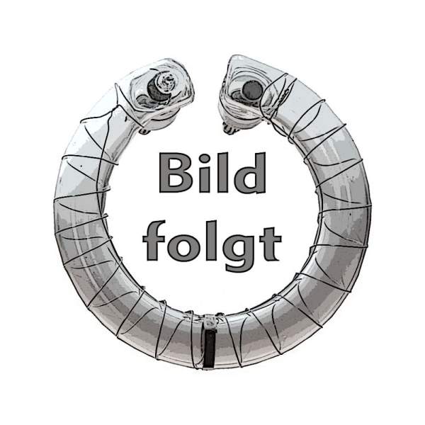 Warmtonblitzröhre PROSTU für Multiblitz