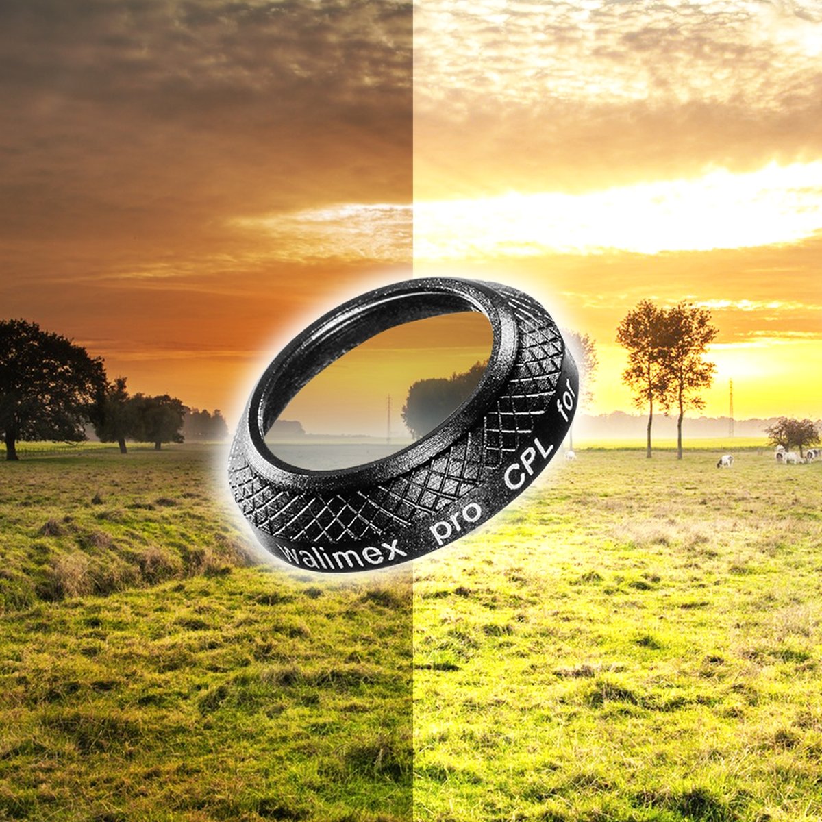 Walimex pro Drohnenfilter DJI Mavic Pro CPL