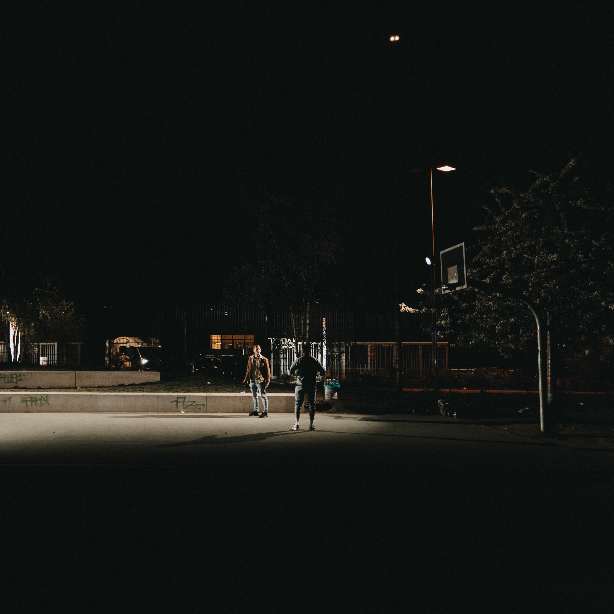 Walimex pro LED Niova 350 Plus Dayl. 350W 2er Set