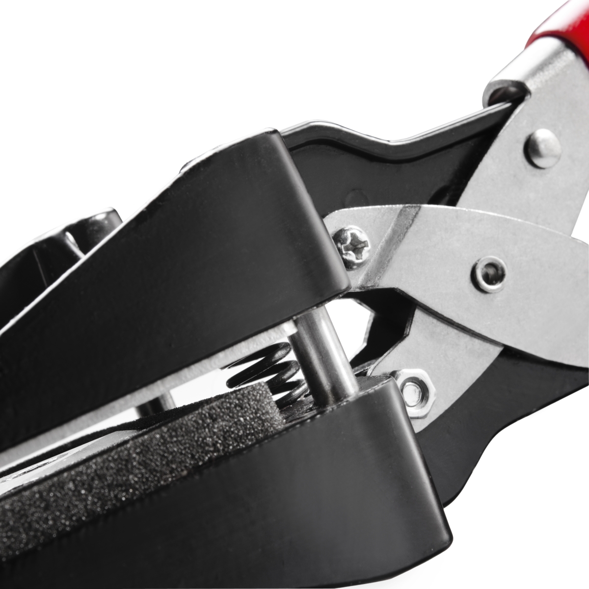 Walimex pro Passbildstanze 35x45mm