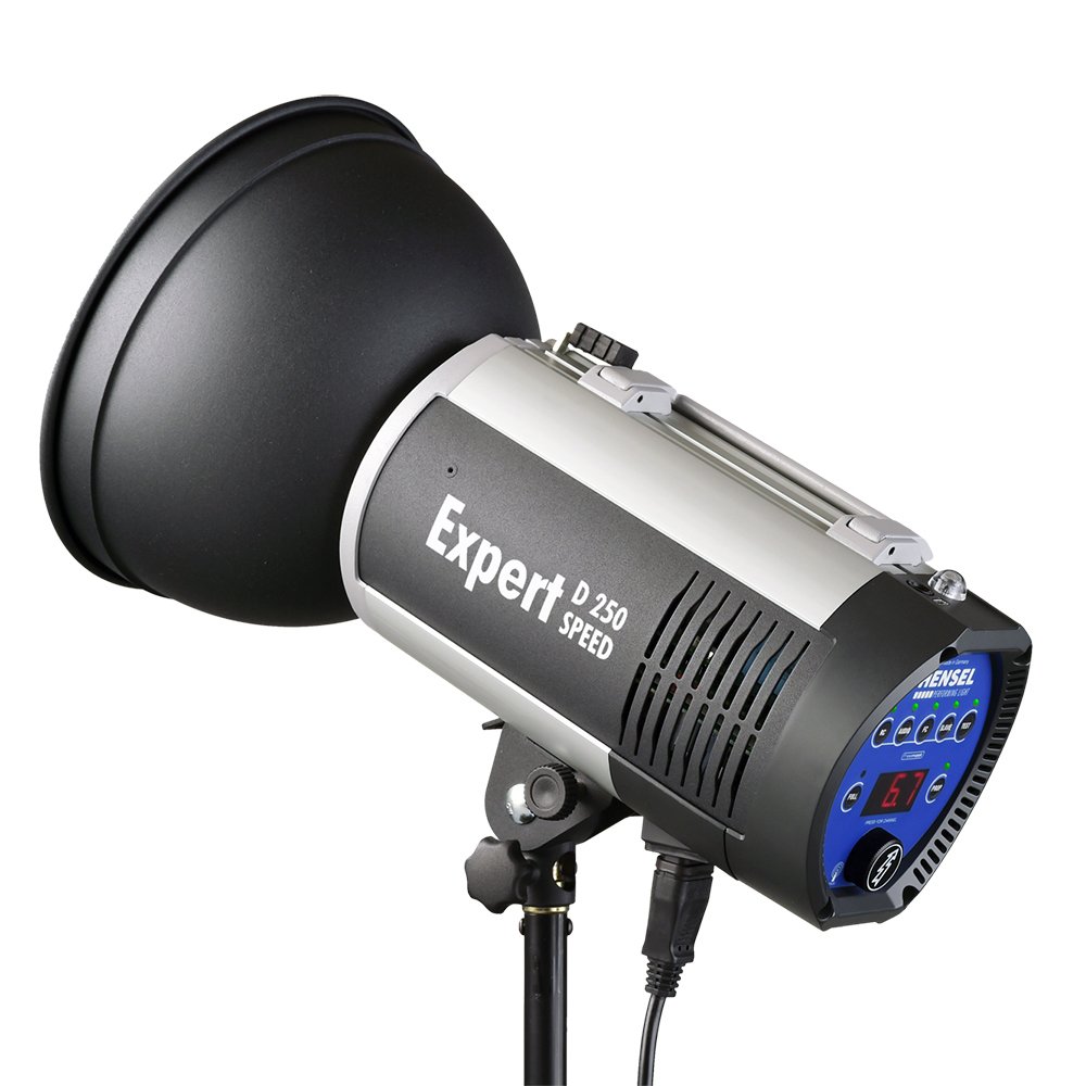 HENSEL Expert D 250 SPEED