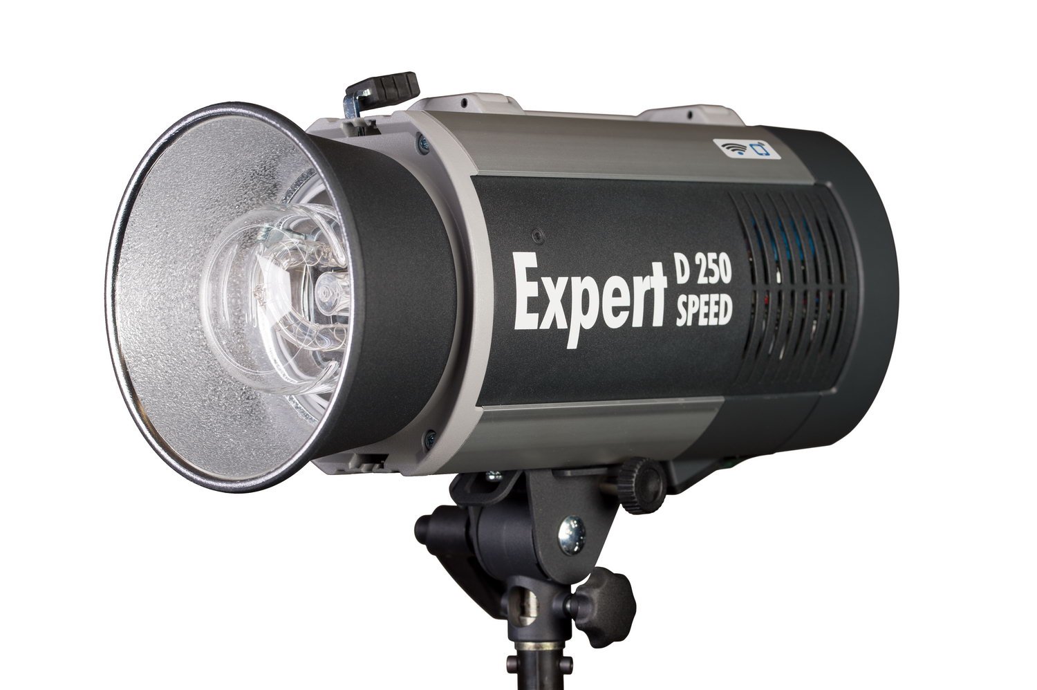 HENSEL Expert D 250 SPEED