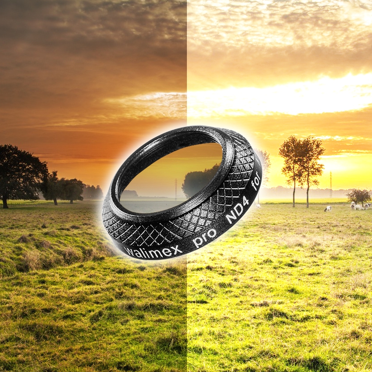 Walimex pro Drohnenfilter DJI Mavic Pro ND4