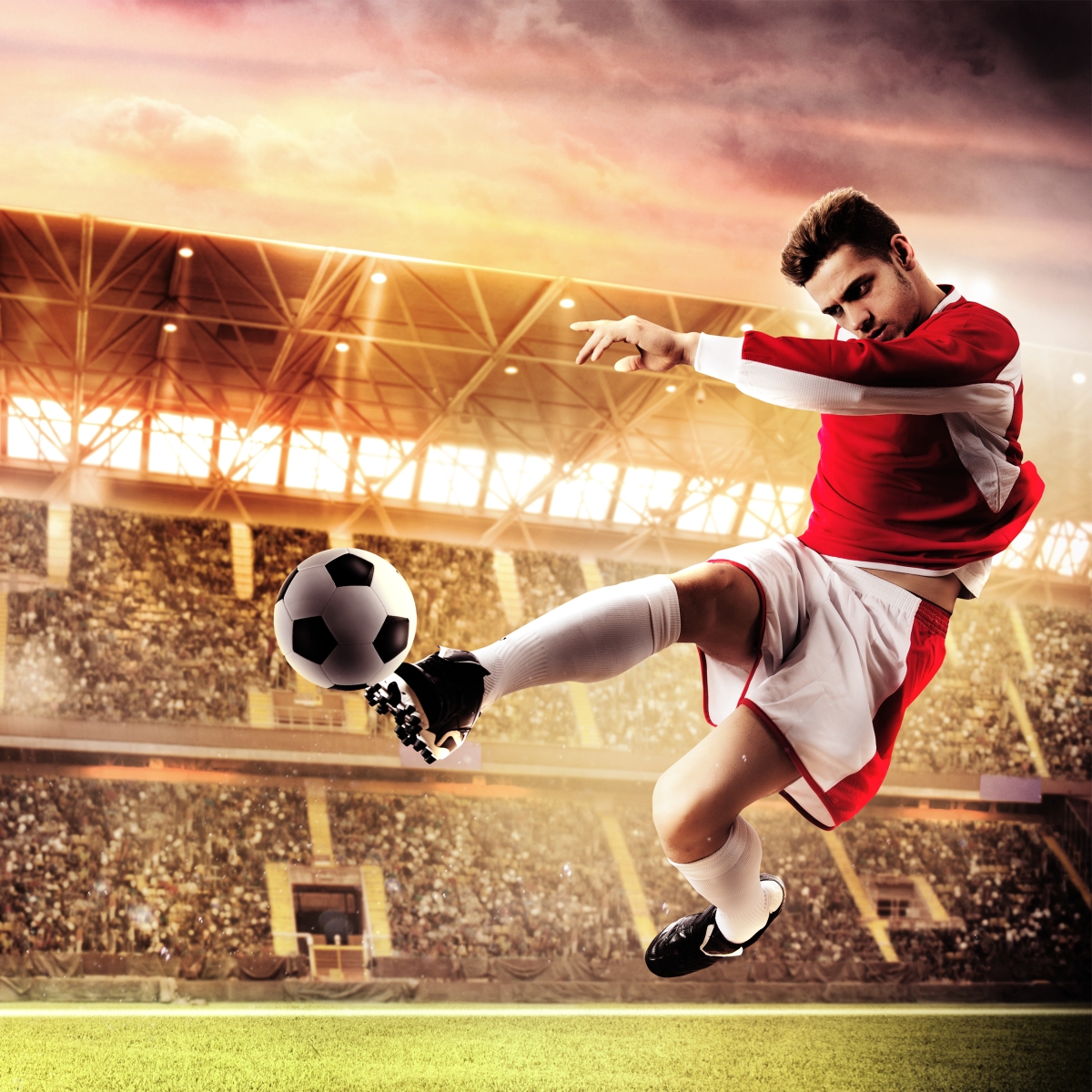 Walimex pro WT-1003 Basic Einbeinstativ 171cm