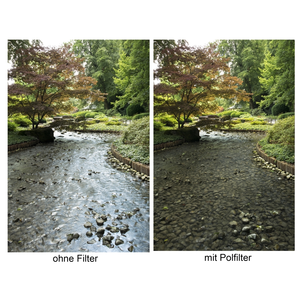 Walimex pro Polfilter zirkular MC 62mm