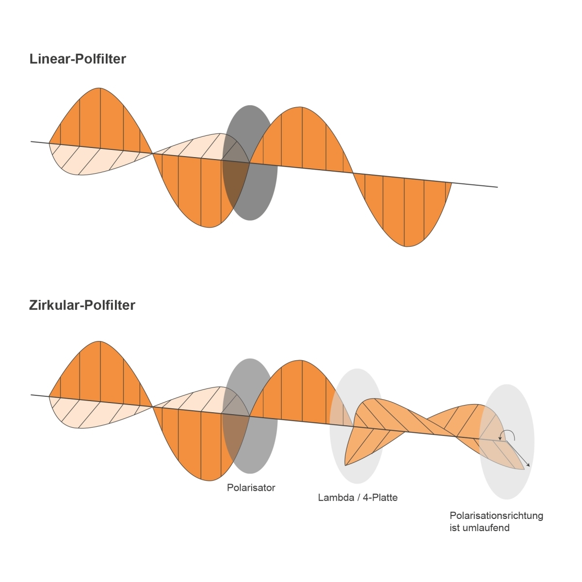 Walimex pro Polfilter zirkular MC 77mm