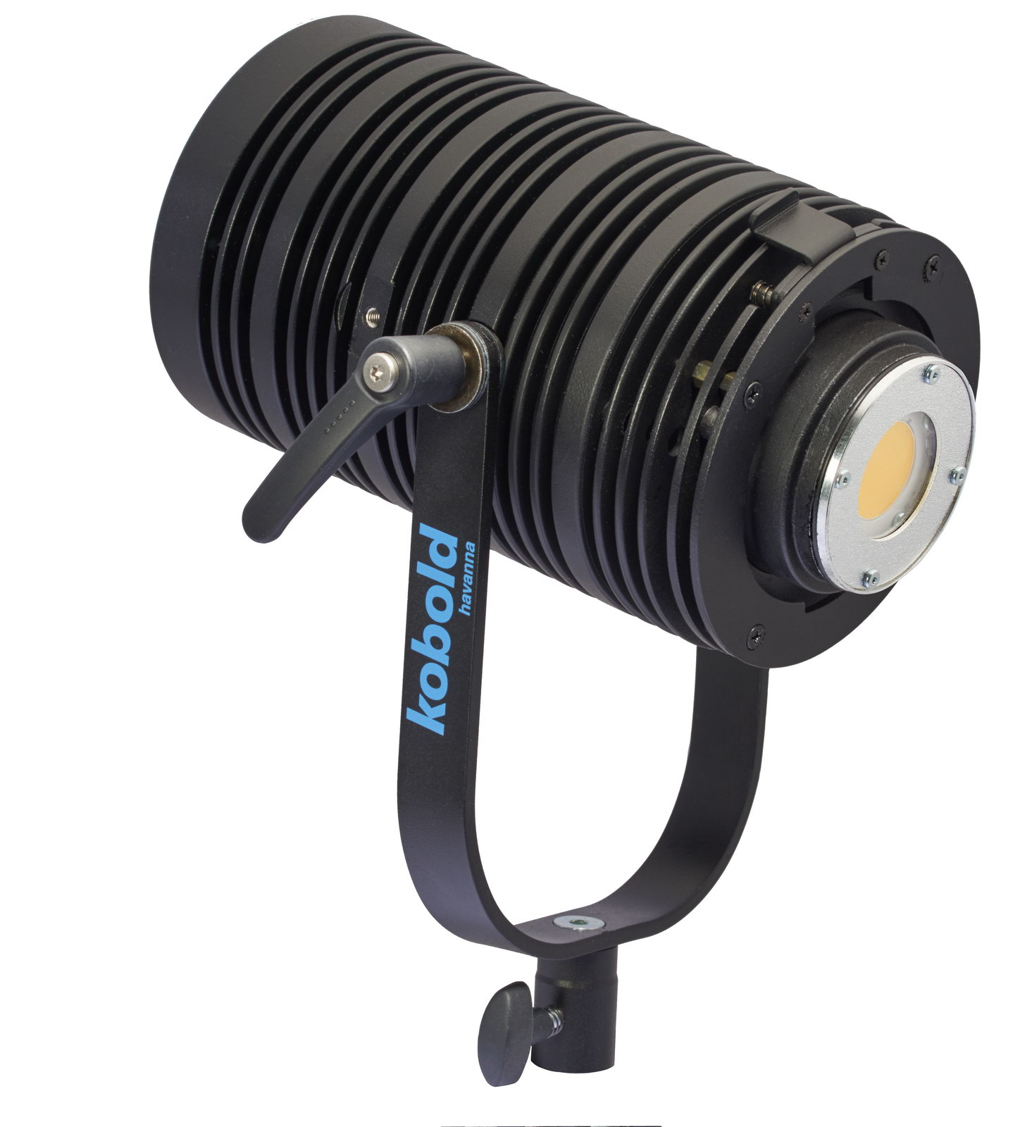 kobold Havanna Fuerte Photo