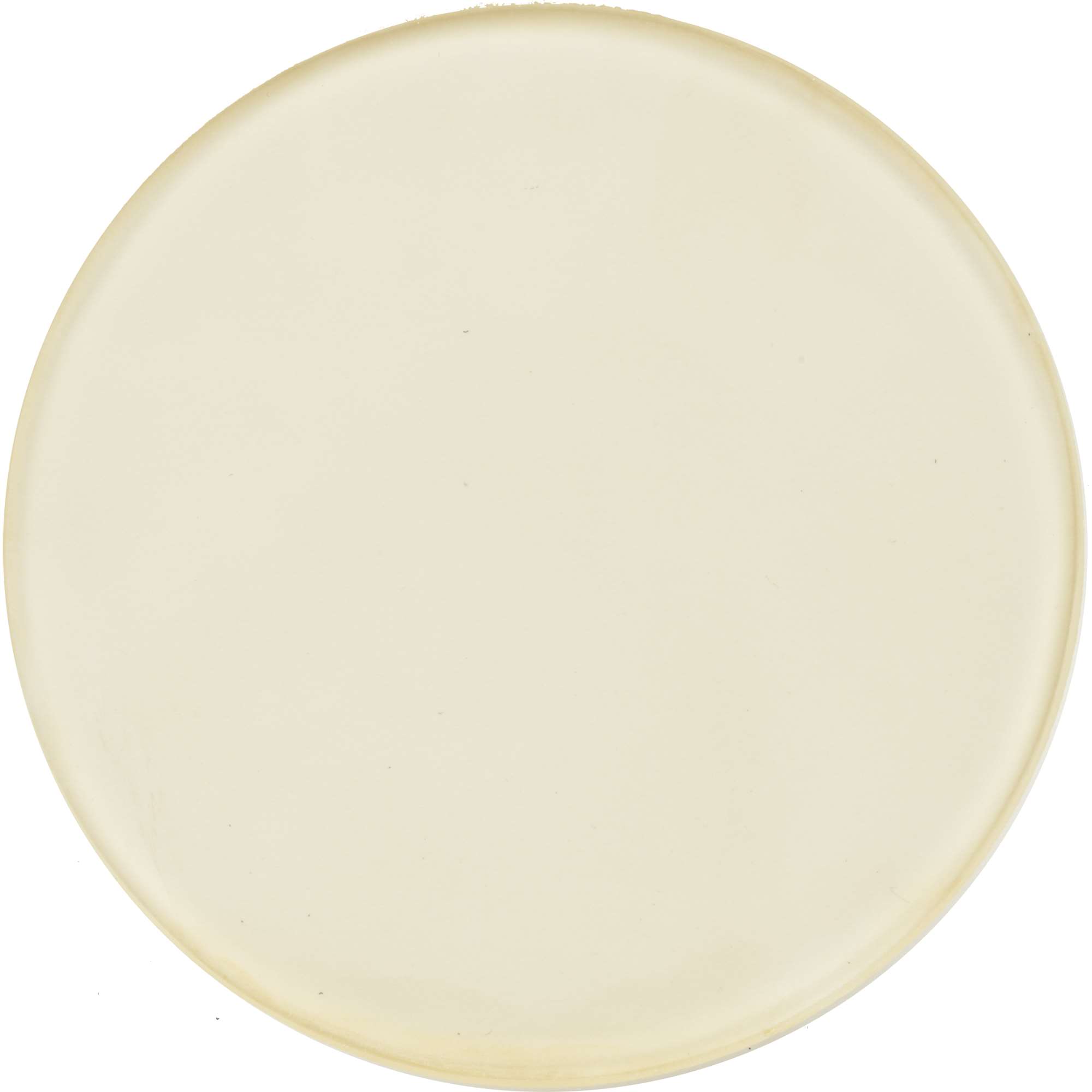 Profoto Glass Plate for Flat Front Frosted UV -600 K