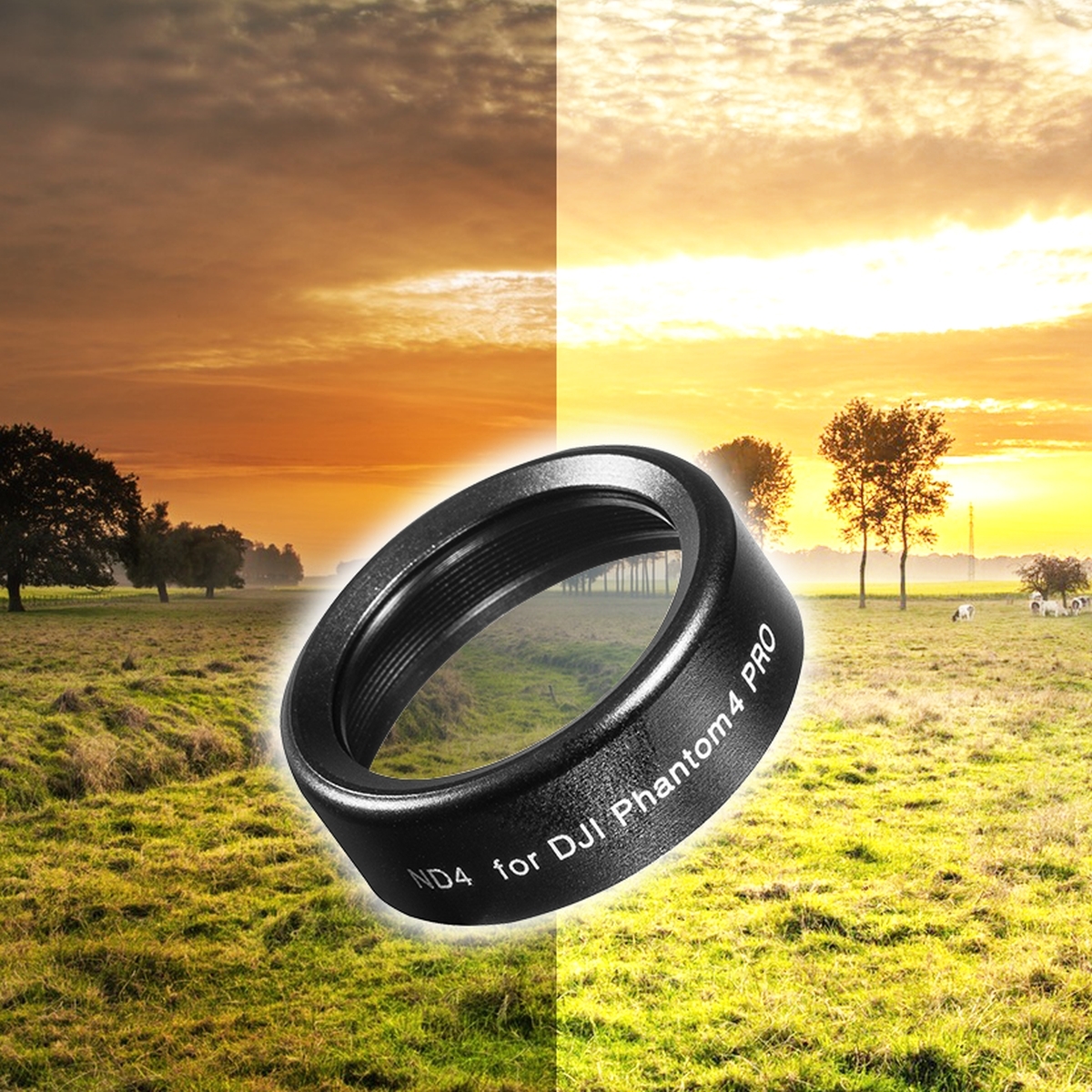 Walimex pro Drohnenfilter DJI Phantom 4 Pro ND4