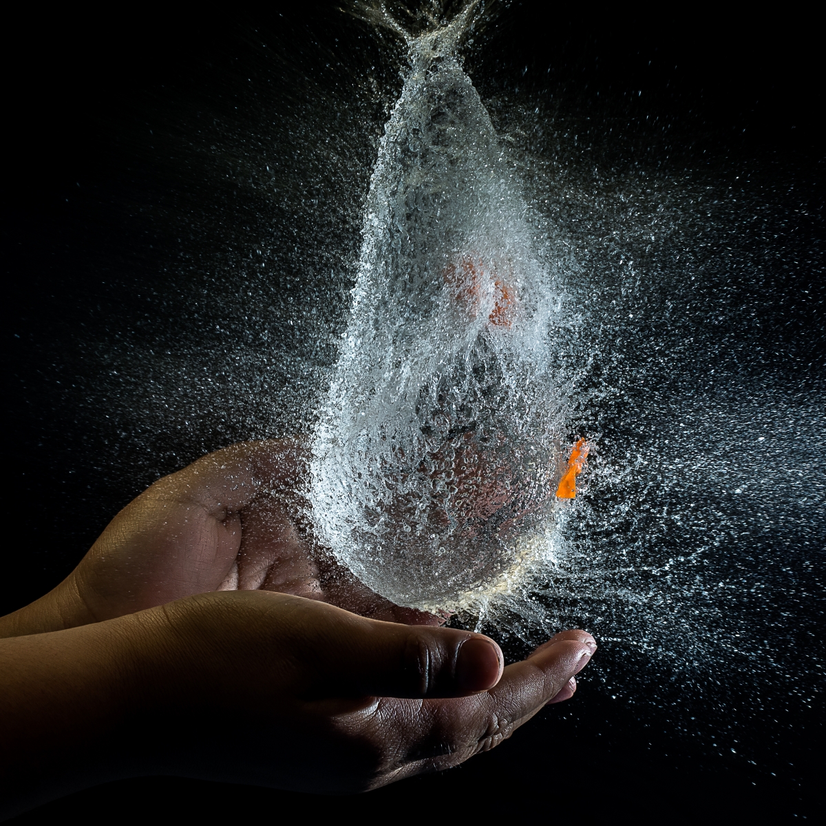 Walimex pro VE& VC& Newcomer Studioblitz Auslöser