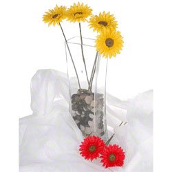 Walimex Dekopaket leichter Stoffhintergrund, 7tlg.