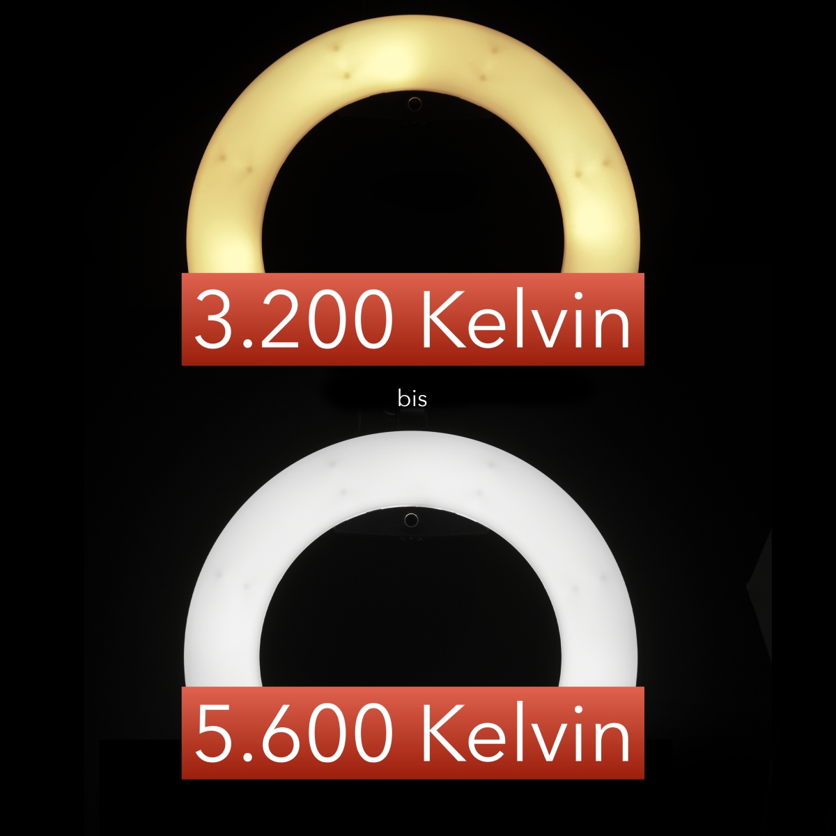 Walimex pro LED Ringleuchte Medow 960 Pro Bi Color