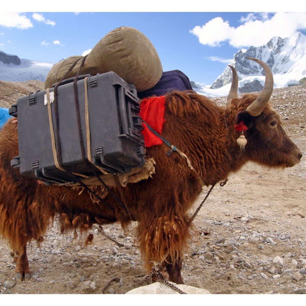 Explorer Cases 7745 Koffer Schwarz